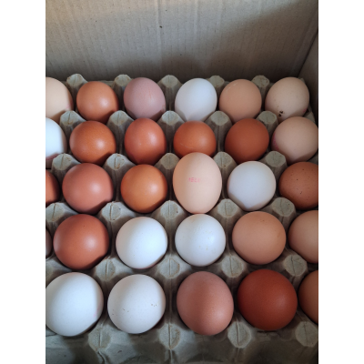 30 ΦΡΕΣΚΑ ΑΥΓΑ ΕΛΕΥΘΕΡΑΣ ΒΟΣΚΗΣ (ΜΕΣΑΙΟ ΜΕΓΕΘΟΣ)